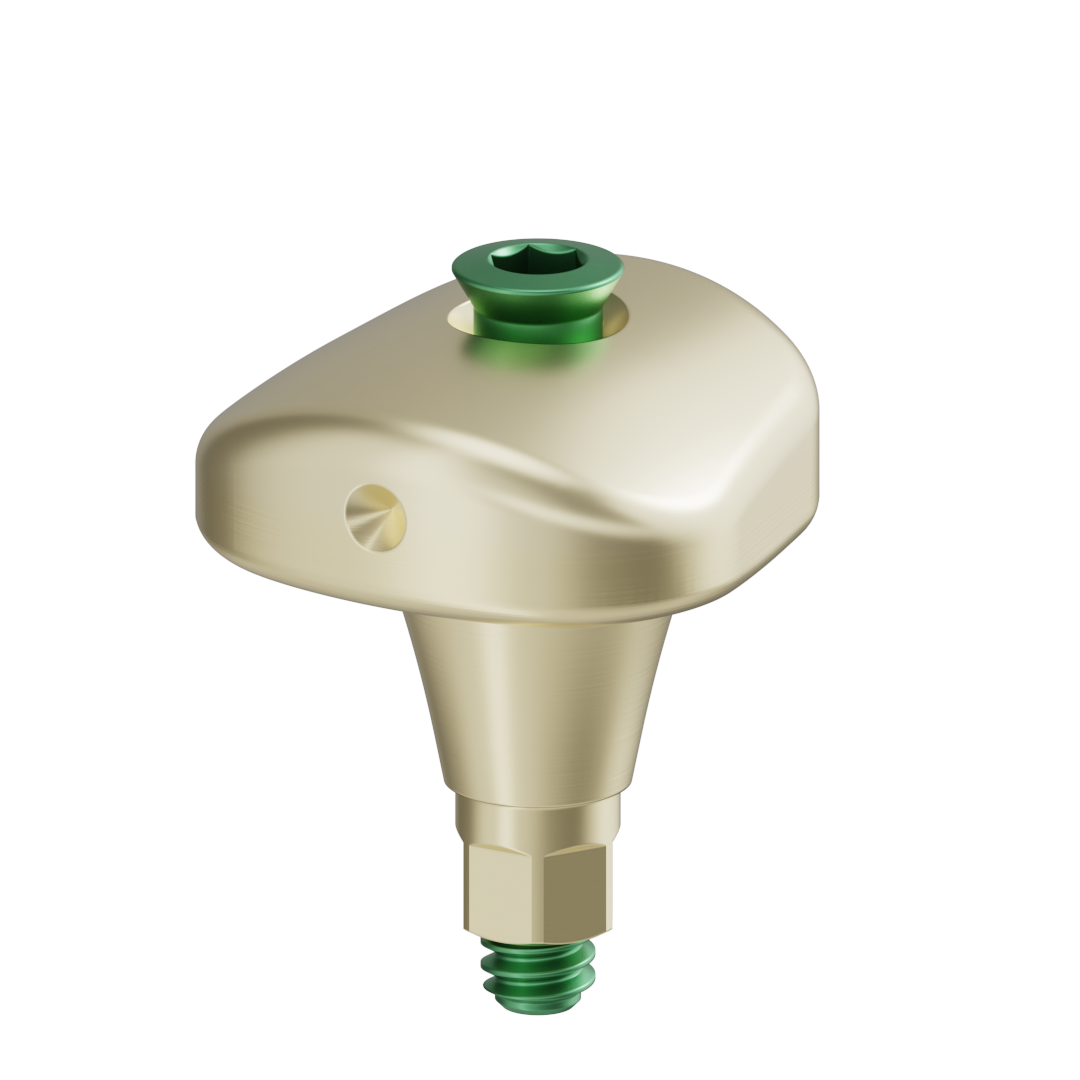 Pilier anatomique scannable + vis