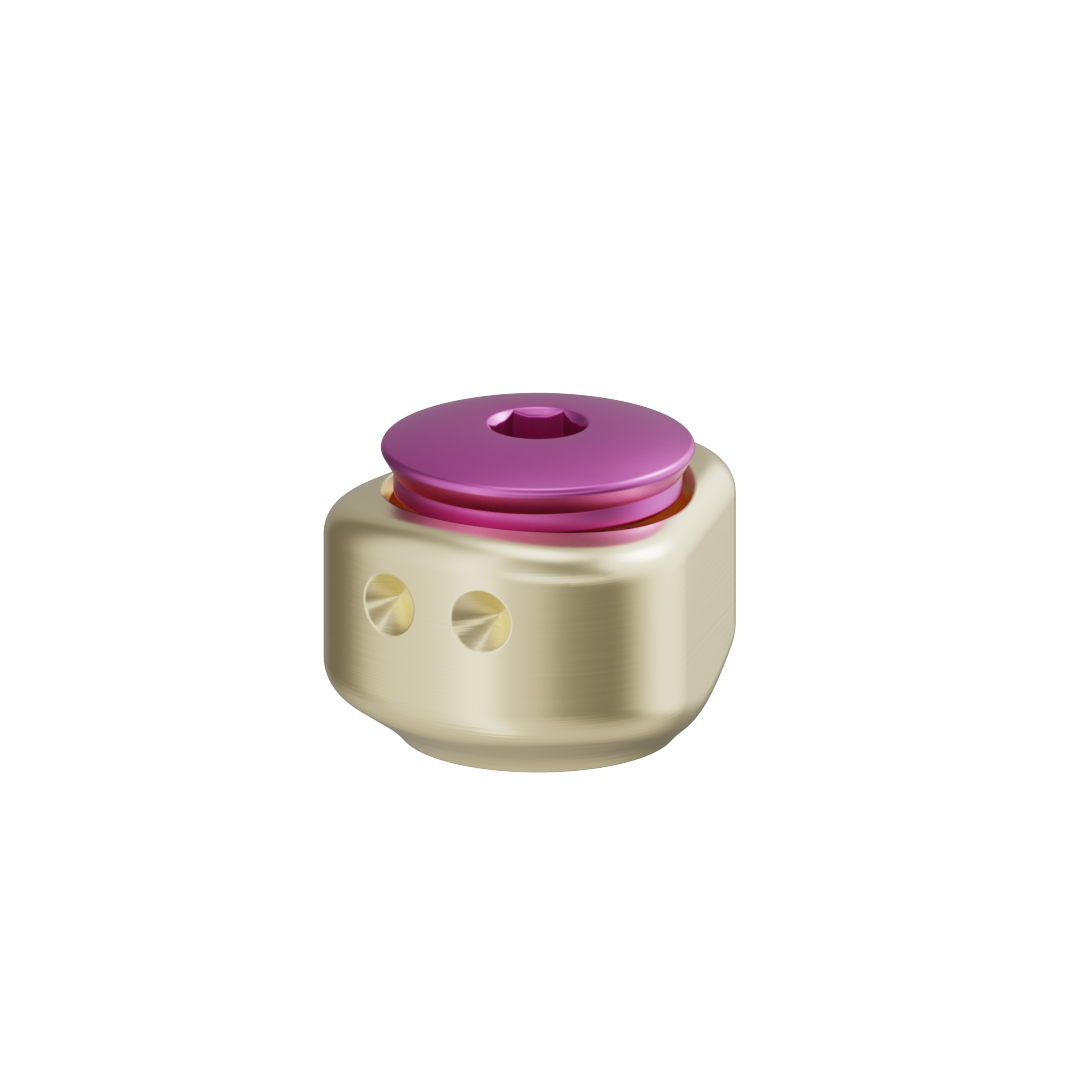Moncone anatomico scansionabile + vite