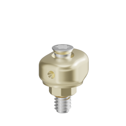 Pilier anatomique scannable + vis