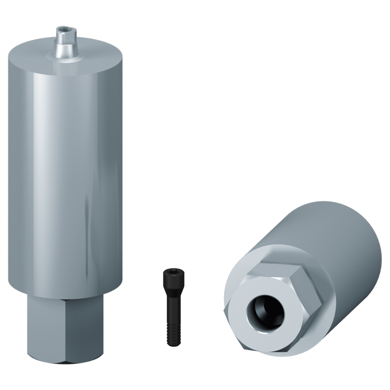 Muestra de pilar personalizado + tornillo Axiom®