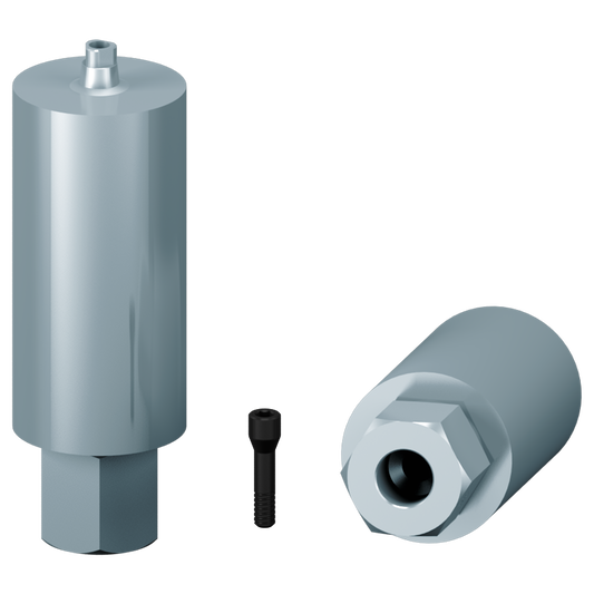 Muestra de pilar personalizado + tornillo Axiom®