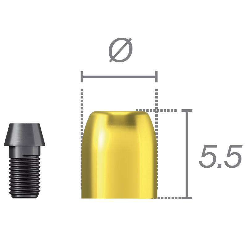 Capuchon de protection + vis pour pilier Conocta