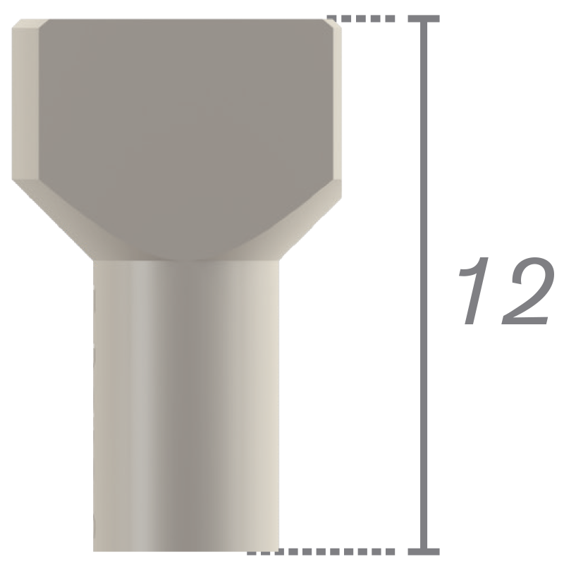 Scanbody sobre interfaz en titanio + tornillo
