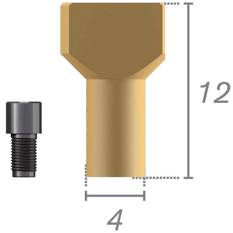 Scanbody sobre pilar Plural + tornillos