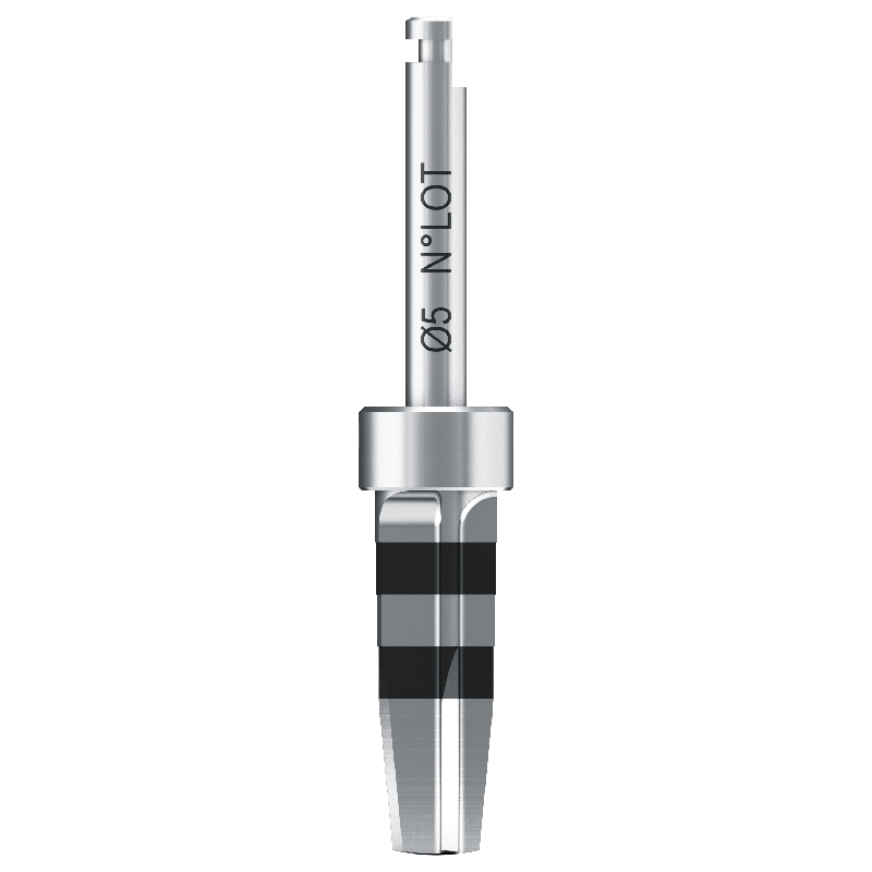 Foret os dur - Gamme Bone Level