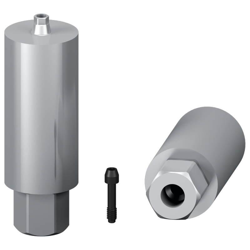 Muestra de pilar personalizado + tornillo -  Conexión hexagonal externa (NP; RP)