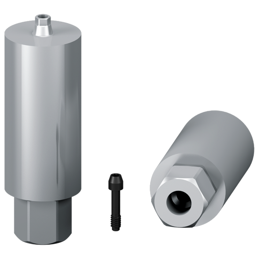 Muestra de pilar personalizado + tornillo -  Conexión hexagonal externa (NP; RP)