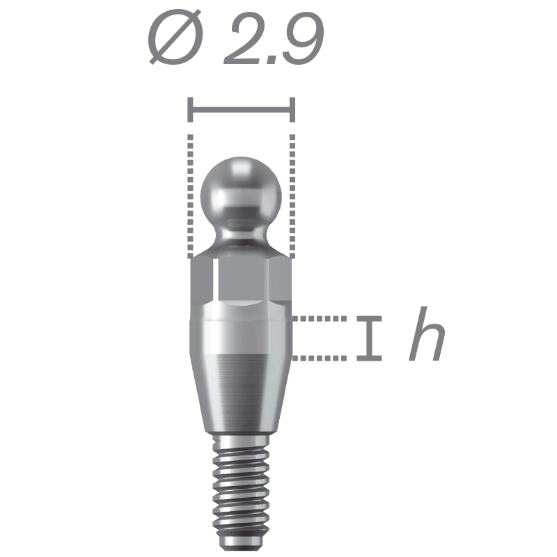 Pilar Bola O'Ring