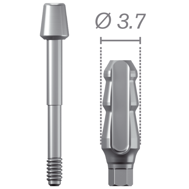 Transfer (técnica de cubeta cerrada) + tornillo