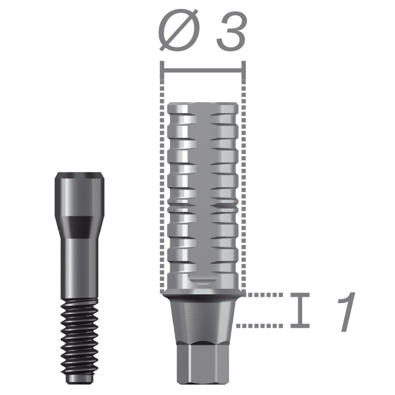 Pilar provisional antirotatorio + tornillo