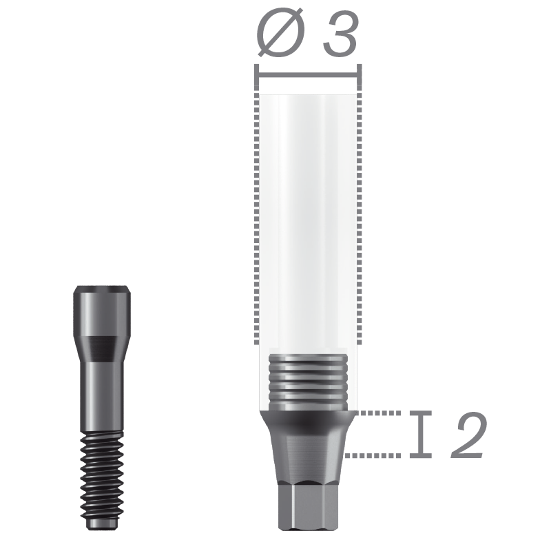 Pilar de sobrecolado en Cromo-Cobalto + tornillo