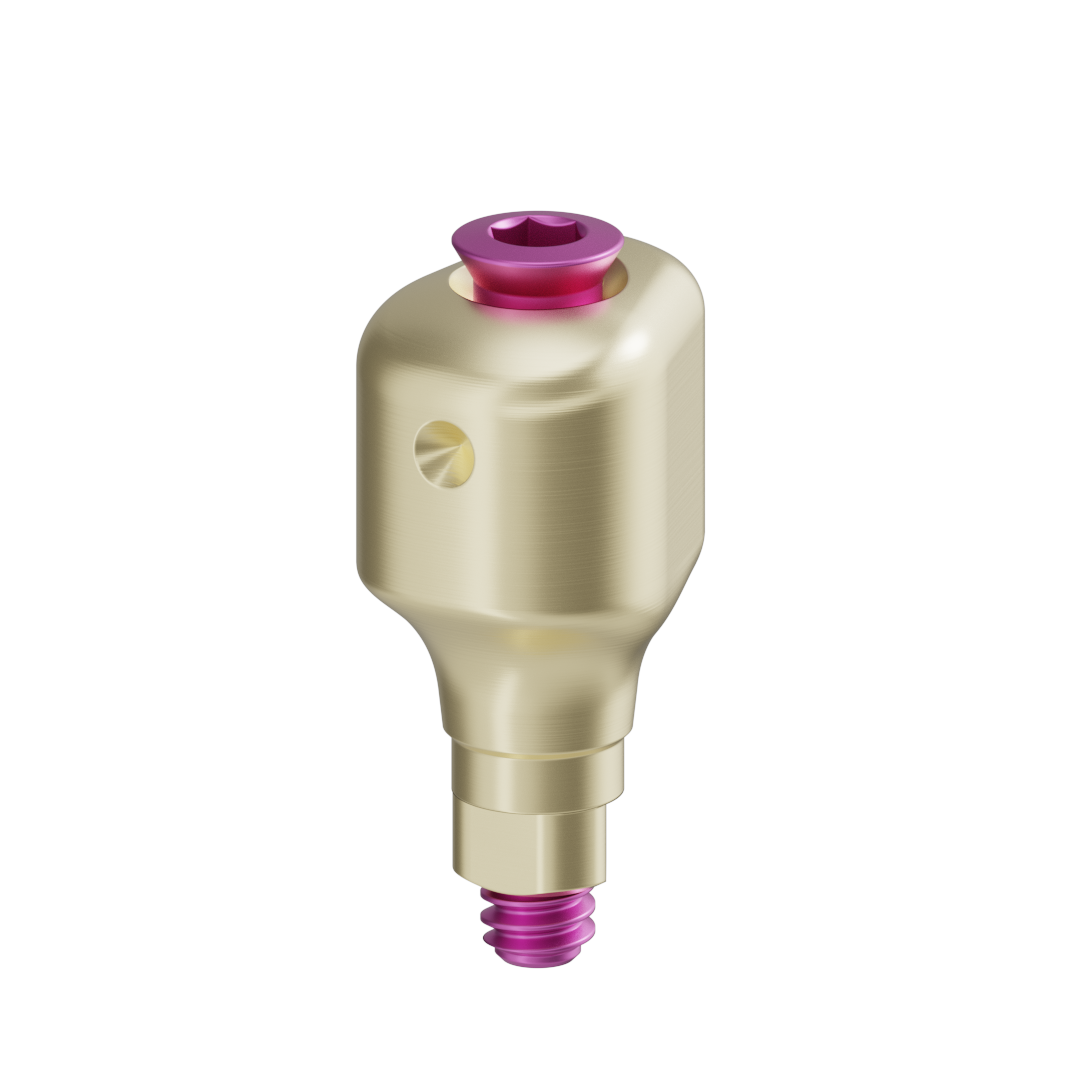 Pilar anatómico escaneable + tornillo