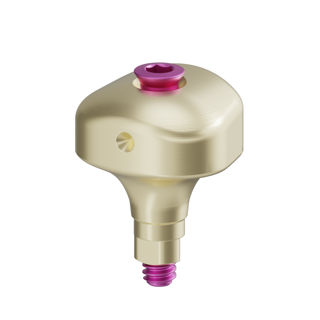 Pilar anatómico escaneable + tornillo