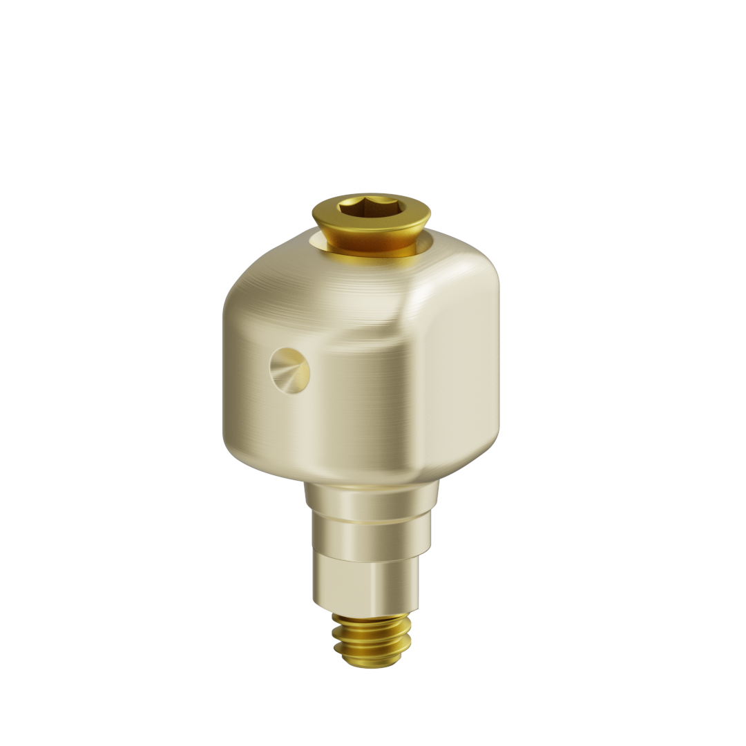 Pilar anatómico escaneable + tornillo