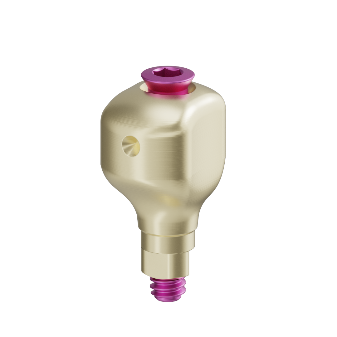 Pilar anatómico escaneable + tornillo