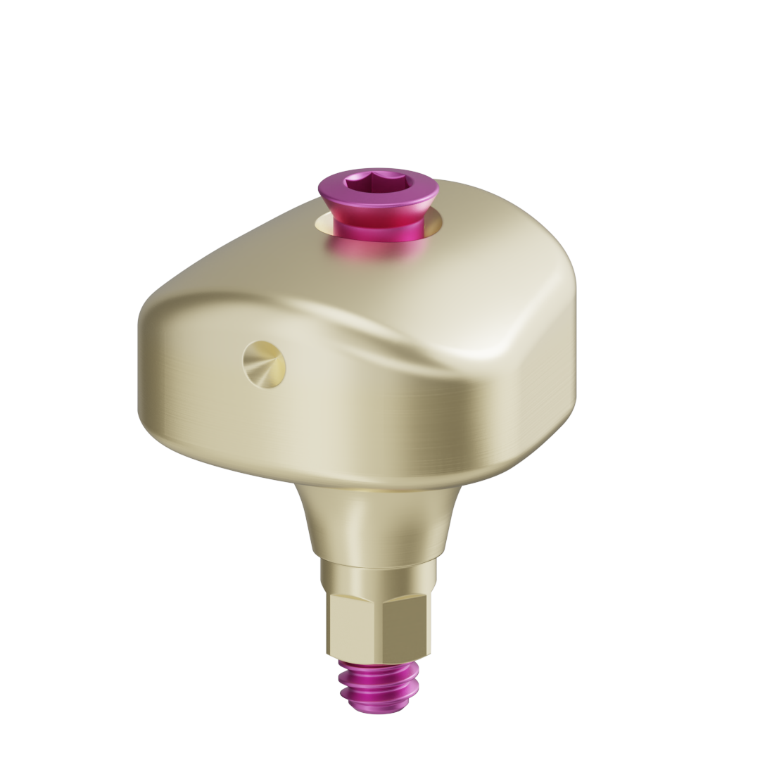 Pilier anatomique scannable + vis