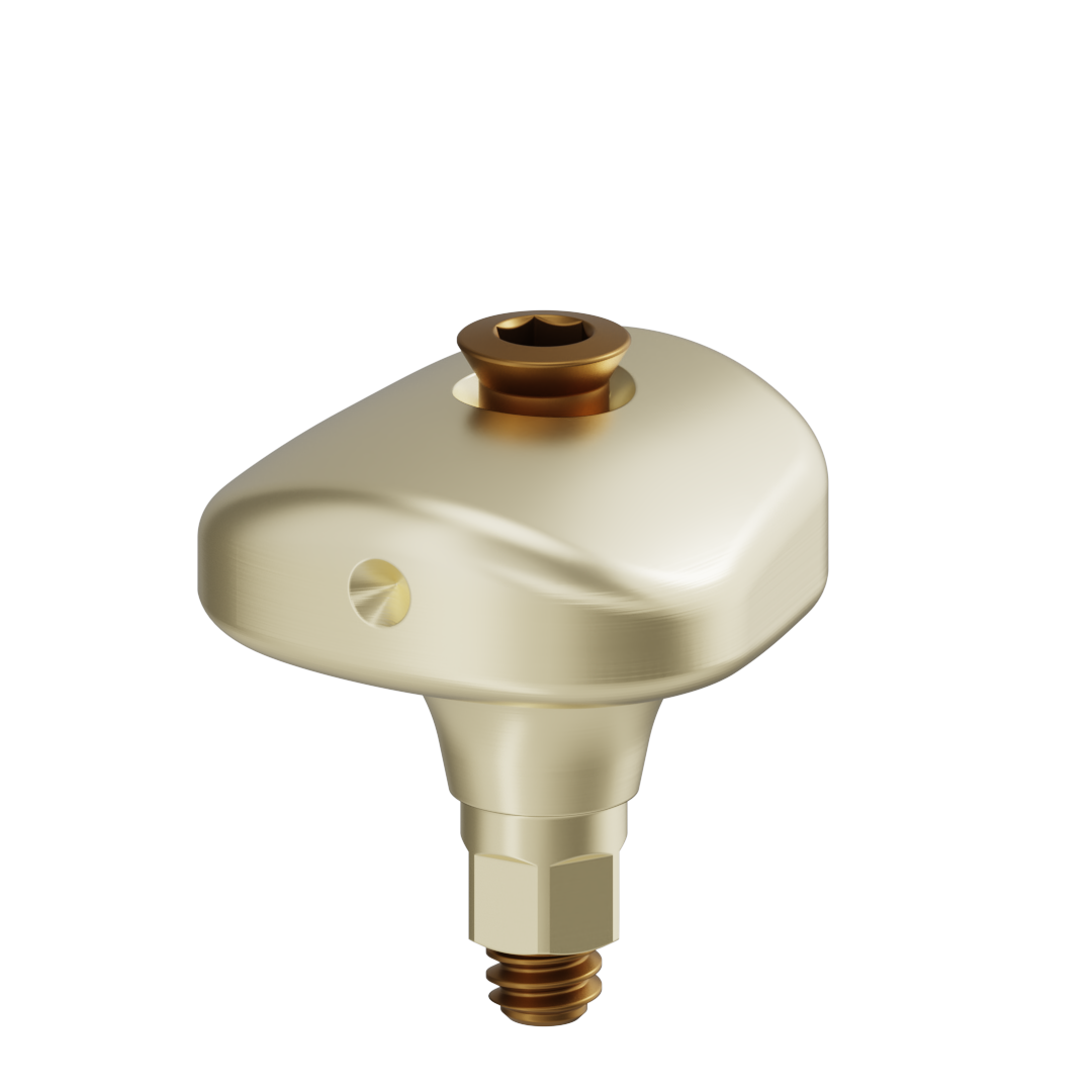 Pilier anatomique scannable + vis