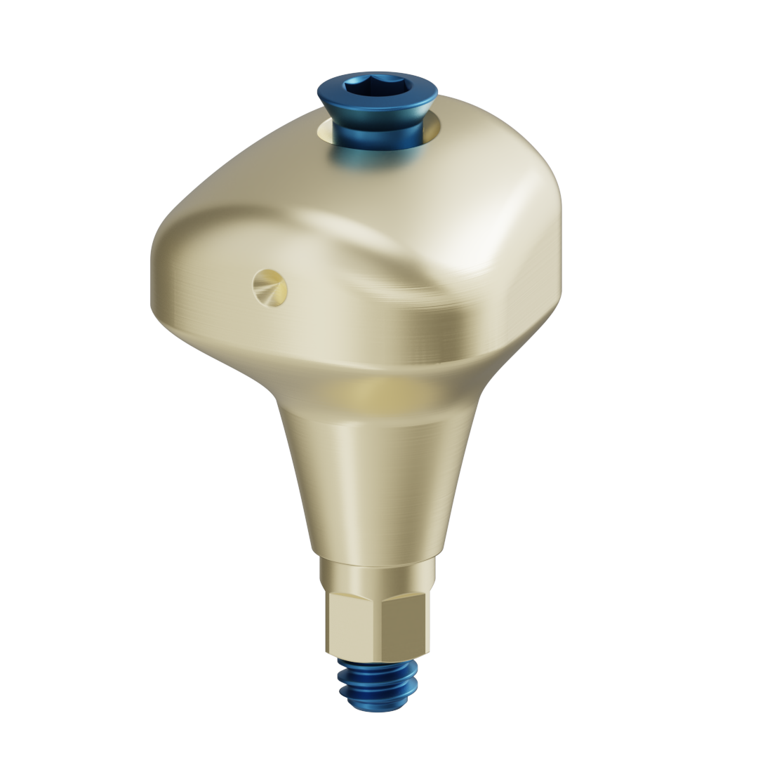 Pilier anatomique scannable + vis