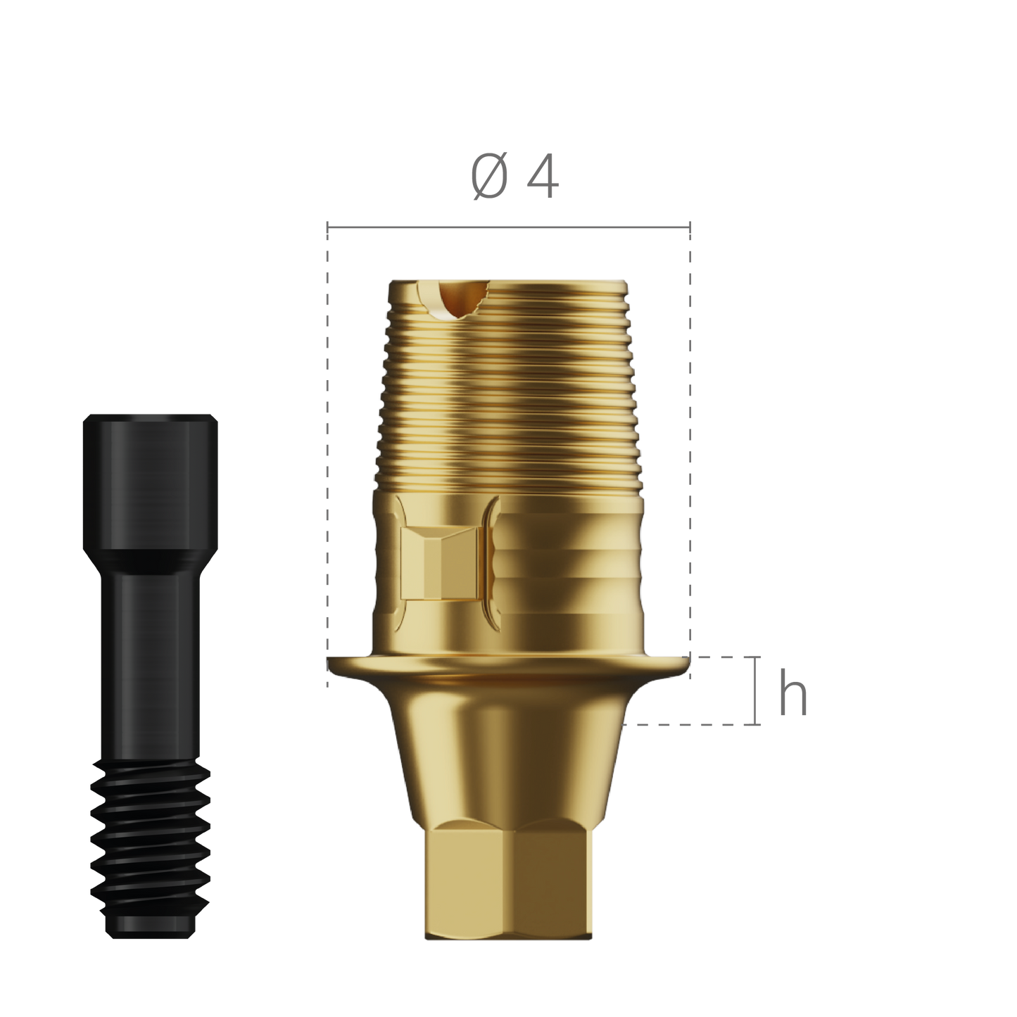 Interface titane anti-rotationnelle + vis (Compatible CEREC)