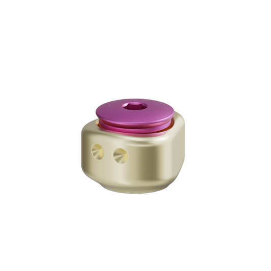 Moncone anatomico scansionabile + vite