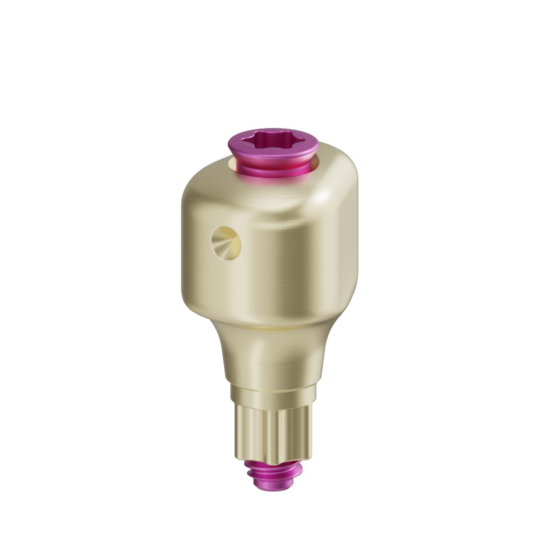 Pilar anatómico escaneable + tornillo - BLX