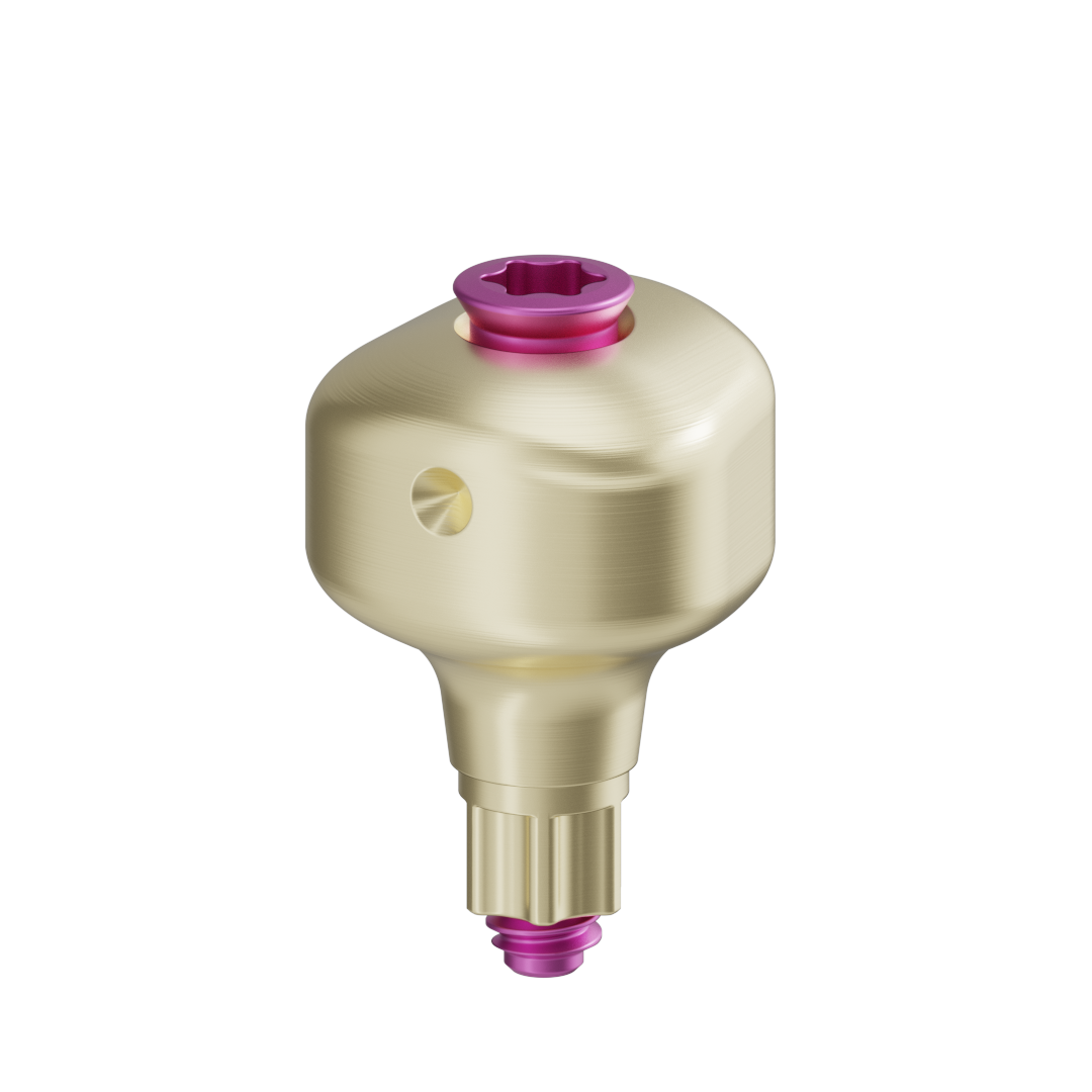 Pilar anatómico escaneable + tornillo - BLX