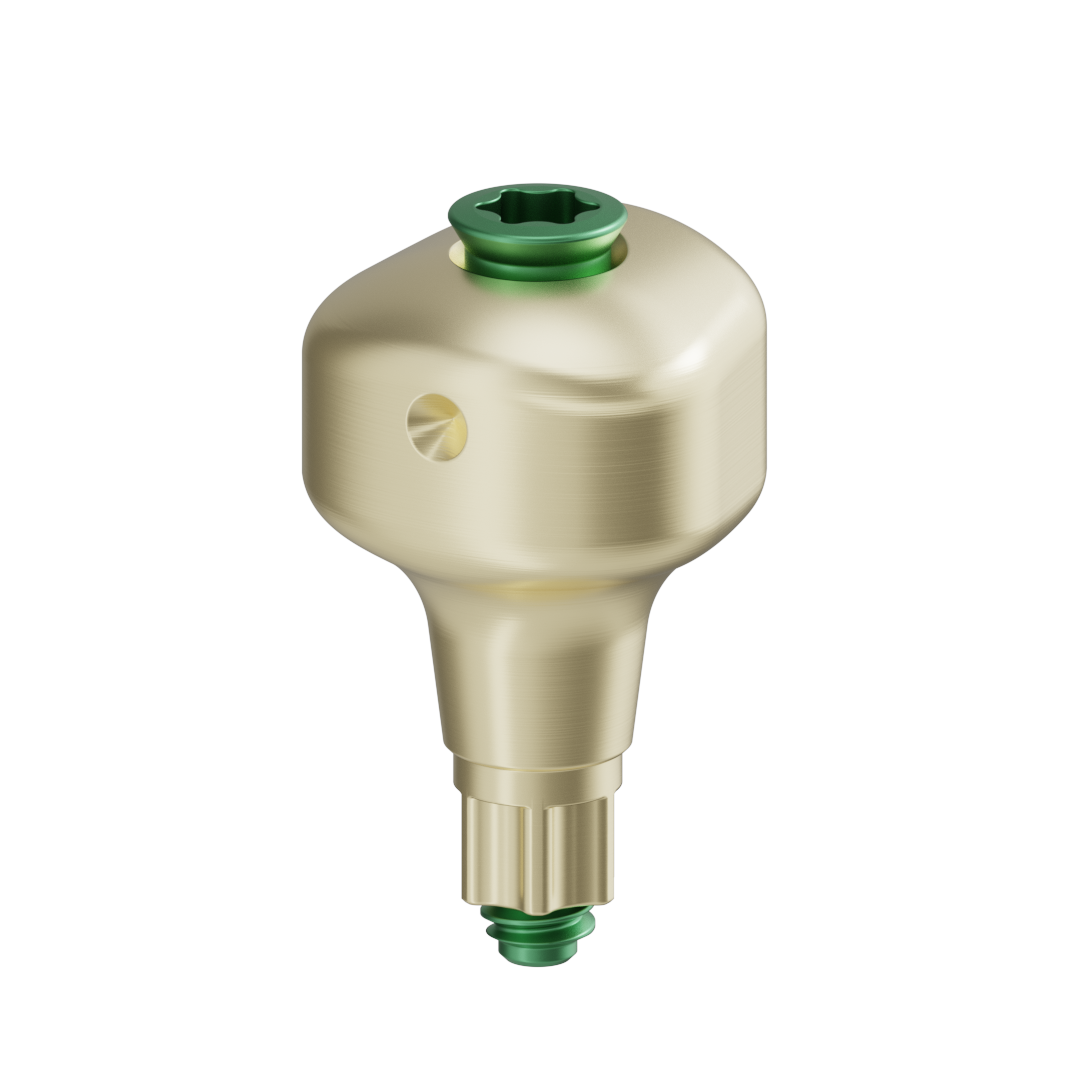 Pilar anatómico escaneable + tornillo - BLX