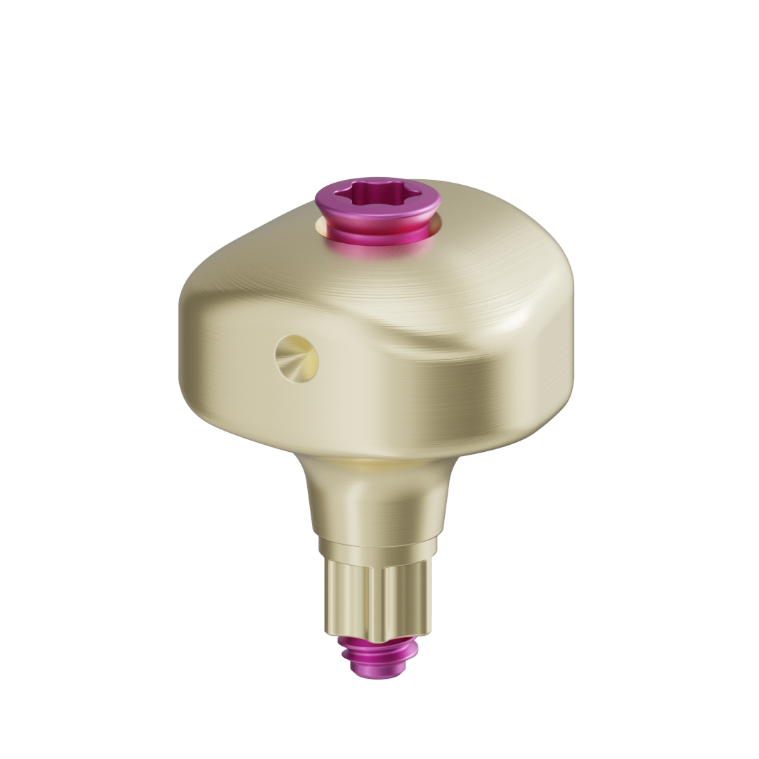 Pilar anatómico escaneable + tornillo - BLX