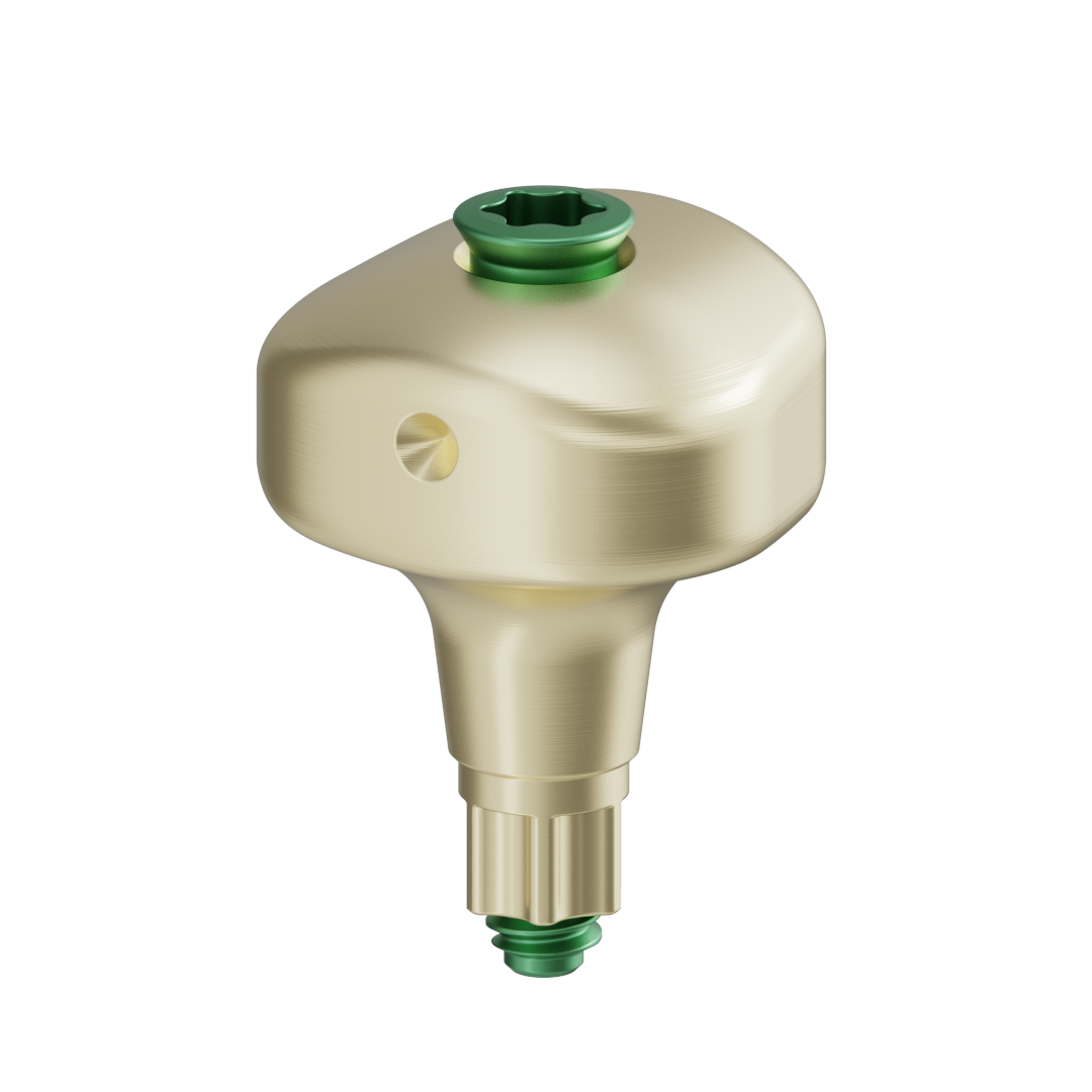 Pilar anatómico escaneable + tornillo - BLX