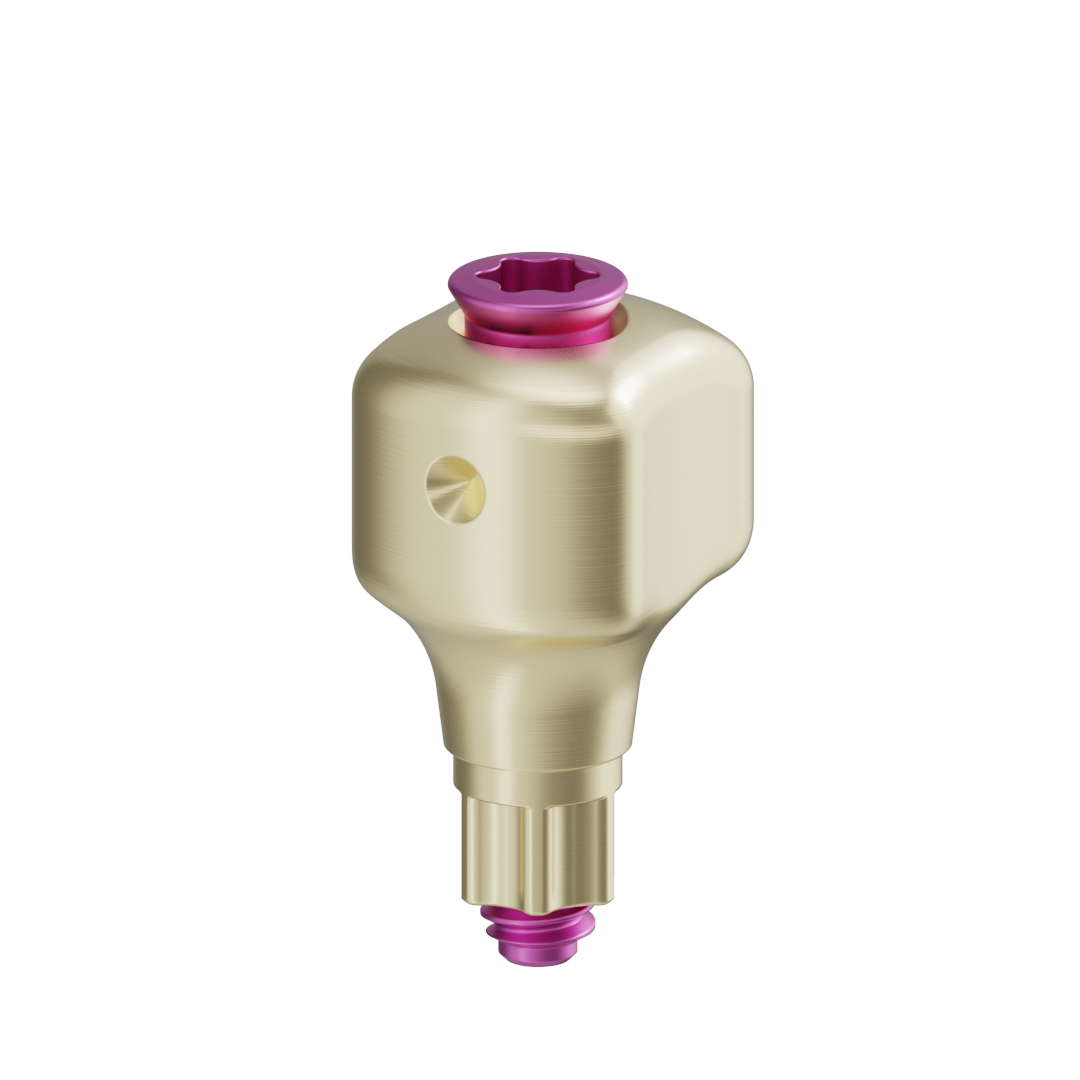 Pilar anatómico escaneable + tornillo - BLX