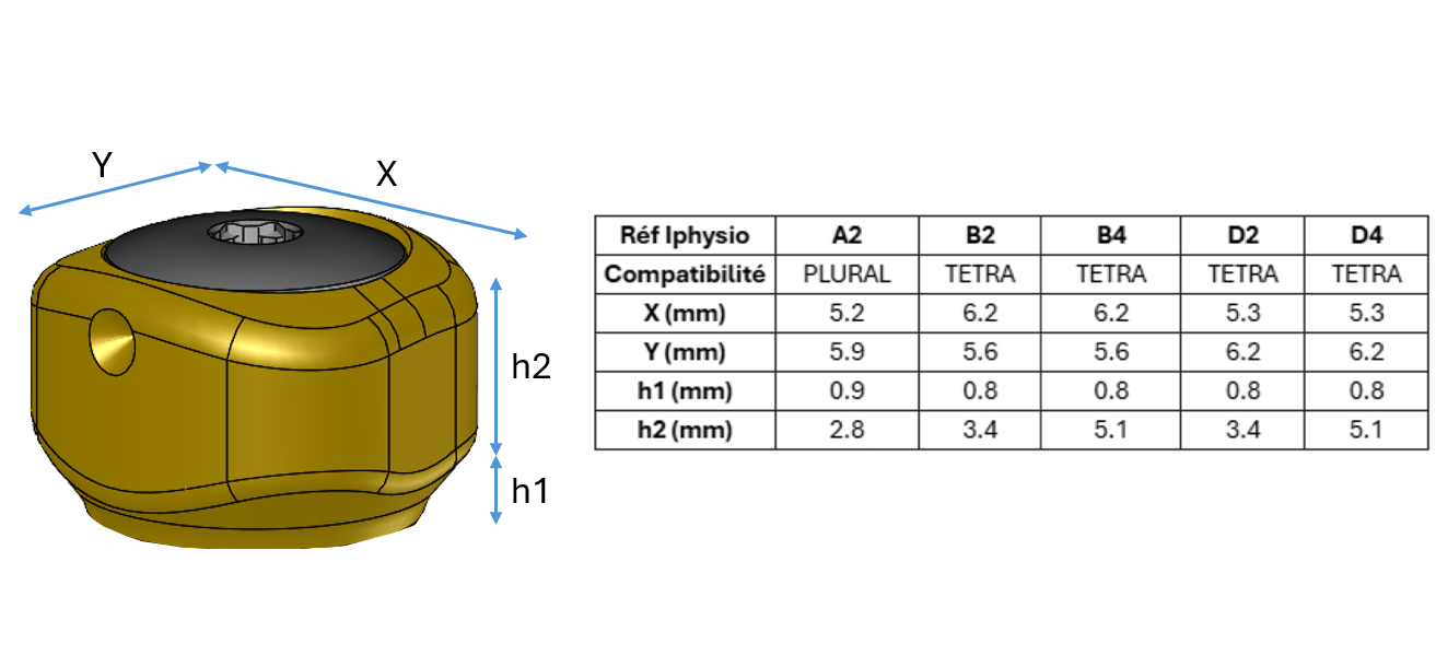Pilier anatomique scannable Tetra Antirotationnel + vis