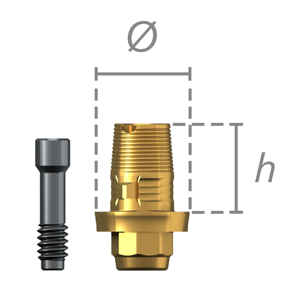 Interface titane + vis - Ossfit®