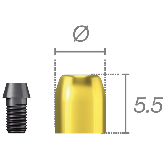 Capuchon de protection + vis pour pilier Conocta