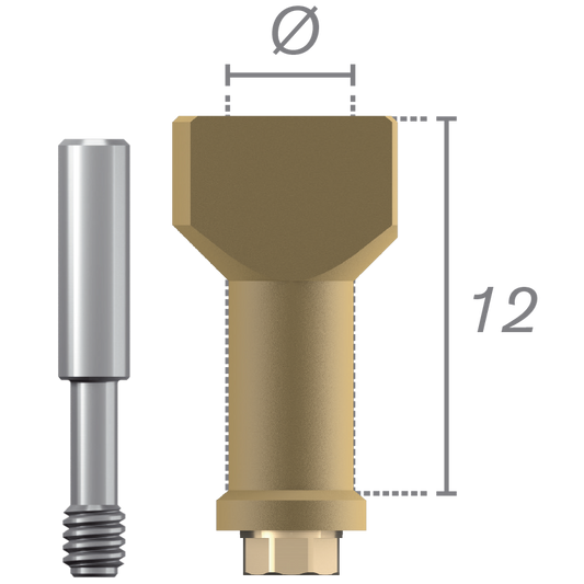 Scanbody direct implant + vis