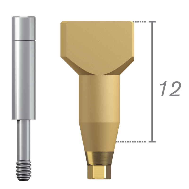 Scanbody + vis - connexion interne Certain®