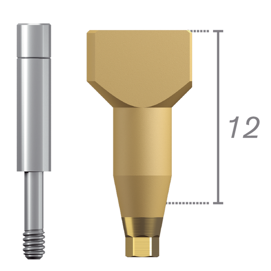 Scanbody + vis - connexion interne Certain®