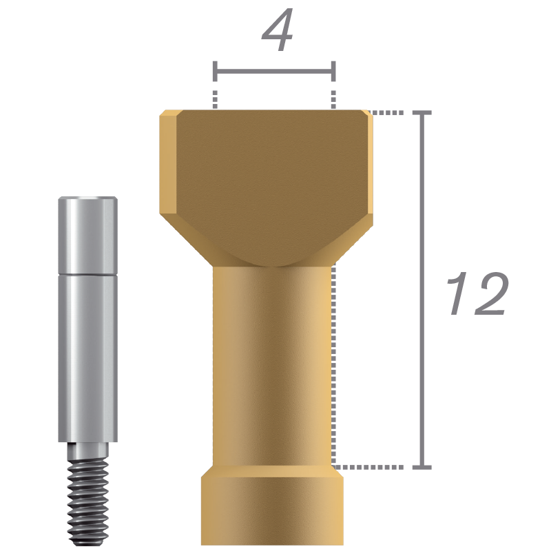 Scanbody sur pilier Tétra + vis