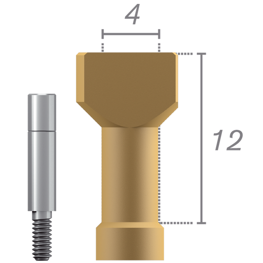 Scanbody sur pilier Tétra + vis