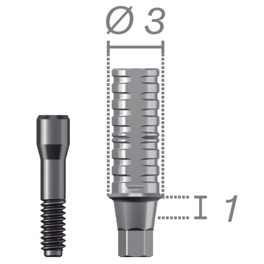 Pilier temporaire anti-rotationnel + vis