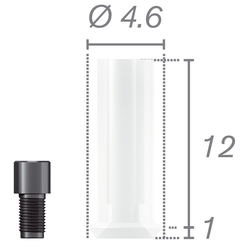 Chape calcinable rotationnelle + vis pour pilier Plural