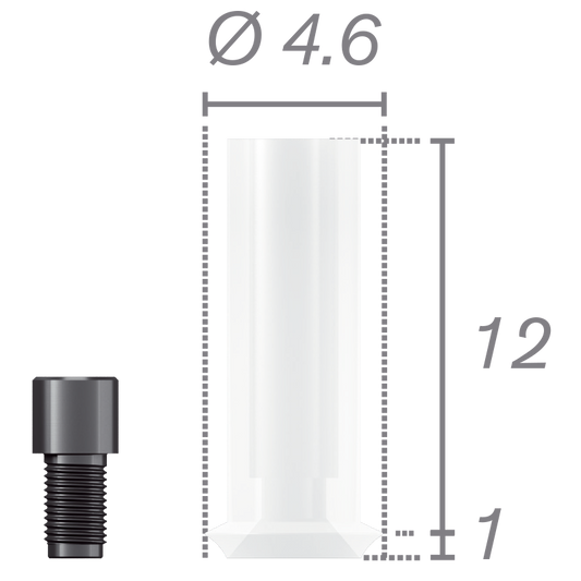 Chape calcinable rotationnelle + vis pour pilier Plural