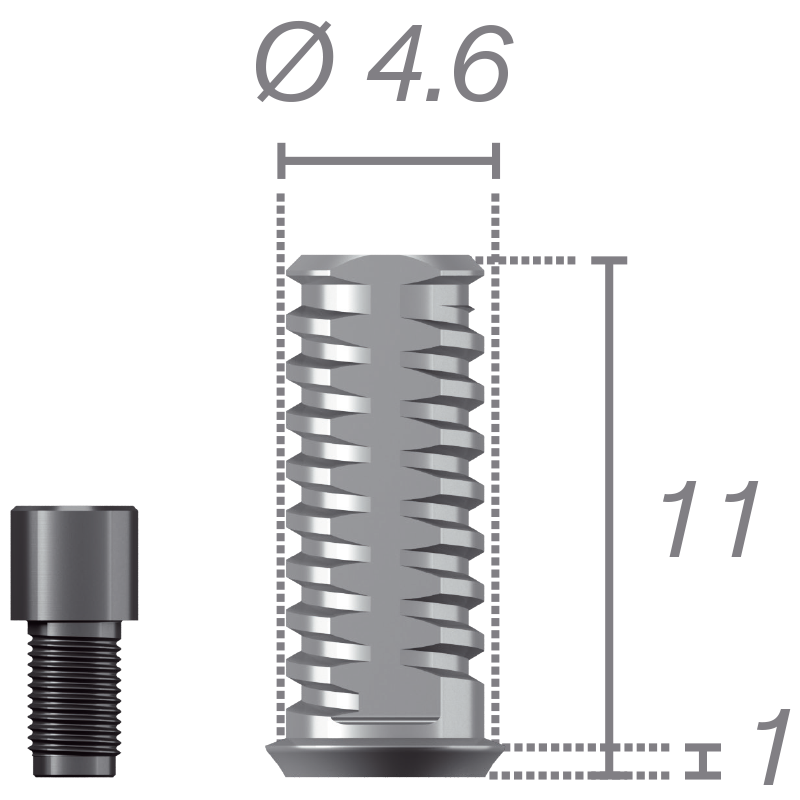 Chape temporaire pour pilier Plural + vis