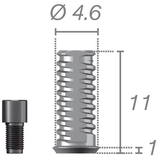 Chape temporaire pour pilier Plural + vis