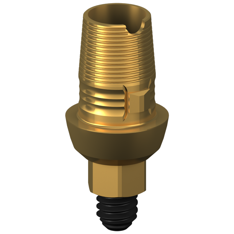 Interface titane + vis - connexion interne hexagonale (IH)